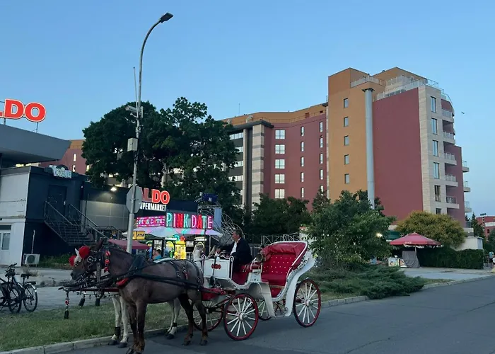 Sunny Family Napospart